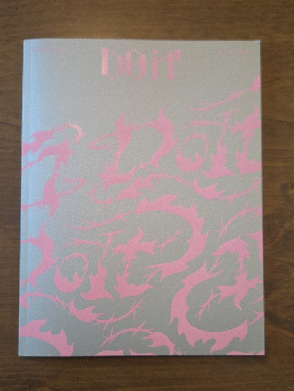 Do It Stray Kids Album (With Changbin Poster)